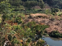 Bán đất viêu núi rừng tuyệt đẹp ngay cạnh suối tại đa chais -lạcdương Bán đất viêu núi rừng tuyệt đẹp ngay cạnh suối tại đa chais -lạcdương