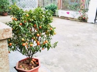 Tôi Bán gấp đất Cao Ngạn, TP Thái Nguyên DT 1.700m2 giá 2.5 tỷ TL Tôi Bán gấp đất Cao Ngạn, TP Thái Nguyên DT 1.700m2 giá 2.5 tỷ TL