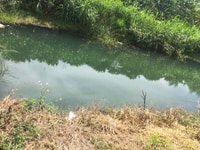 Đất mặt tiền phó đức chính cách TT Bảo Lộc 2km chính chủ Đất mặt tiền phó đức chính cách TT Bảo Lộc 2km chính chủ