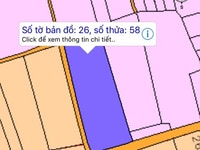 Chính chủ bán nhanh 1.129 m2 đất mặt tiền đường nhựa, điện 3 pha Chính chủ bán nhanh 1.129 m2 đất mặt tiền đường nhựa, điện 3 pha