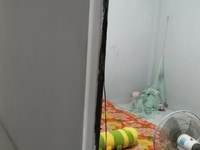 Căn nhà cấp 4 sau lưng KCN Giao Long Căn nhà cấp 4 sau lưng KCN Giao Long