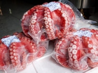 Bạch tuộc hấp chuẩn nhật cho sashimi giá tốt Bạch tuộc hấp chuẩn nhật cho sashimi giá tốt