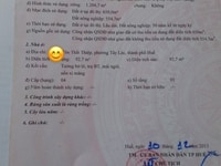 Đất biệt thự Mặt tiền Tôn Thất Thiệp Đất biệt thự Mặt tiền Tôn Thất Thiệp