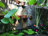 Cần một chị có kinh nghiệm chăm bé, yêu bé, và sạch sẽ, Cần một chị có kinh nghiệm chăm bé, yêu bé, và sạch sẽ,