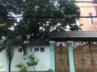Cho Thuê Biệt Thự Phổ Quang, P2, Q.Tân Bình, DT: 10x25m, 2 lầu. Cho Thuê Biệt Thự Phổ Quang, P2, Q.Tân Bình, DT: 10x25m, 2 lầu.