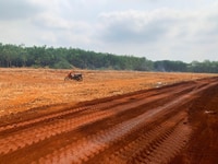 CHÍNH CHỦ bán GẤP 2,5ha đất Chơn Thành có SỔ HỒNG chỉ 400tr/1000m2 CHÍNH CHỦ bán GẤP 2,5ha đất Chơn Thành có SỔ HỒNG chỉ 400tr/1000m2