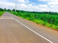 Bán gấp lô đất 5000M2 ngay mặt tiền,gần UBND huyện, chính chủ 450TR Bán gấp lô đất 5000M2 ngay mặt tiền,gần UBND huyện, chính chủ 450TR