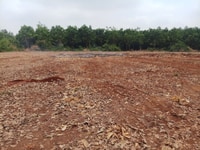 BÁN LỖ 10.000m2 Chơn Thành có SỔ HỒNG chỉ 160tr/1000m2 ngay mặt DT756 BÁN LỖ 10.000m2 Chơn Thành có SỔ HỒNG chỉ 160tr/1000m2 ngay mặt DT756