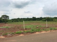 Chính chủ bán gấp 6 sào đất, 6000M2 ngay MT đường nhựa,SHR Chính chủ bán gấp 6 sào đất, 6000M2 ngay MT đường nhựa,SHR