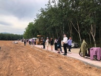 Đất xào thành phố Đồng Xoài, Bình Phước 1000m2,SHR Đất xào thành phố Đồng Xoài, Bình Phước 1000m2,SHR