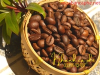 Chuyên cung cấp cafe rang mộc tại Đồng Nai,giao hàng nhanh 24h Chuyên cung cấp cafe rang mộc tại Đồng Nai,giao hàng nhanh 24h