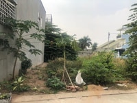 Nắm sổ chủ mảnh đất đường Lương Văn Nho,Cần Giờ.Gần Bưu Điện.Dt-91,2m2 Nắm sổ chủ mảnh đất đường Lương Văn Nho,Cần Giờ.Gần Bưu Điện.Dt-91,2m2