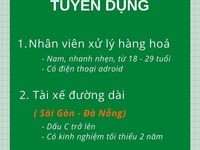 Giao hàng tiết kiệm tuyển Tài xế tuyến Sài Gòn - Đà Nẵng Giao hàng tiết kiệm tuyển Tài xế tuyến Sài Gòn - Đà Nẵng