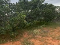 Bán gấp miếng đất vườn Bình Thuận sổ hồng trao tay ngay công chứng Bán gấp miếng đất vườn Bình Thuận sổ hồng trao tay ngay công chứng