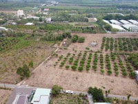 Bán lô đất đẹp ở suối cao xuân lộc đồng nai Bán lô đất đẹp ở suối cao xuân lộc đồng nai