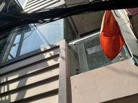 Bán nhà 1/ hẻm 2.5m đườg Lê Quang Sung,p6,Q6, dt:2.5m x 11m, 1Tr,2Lầu Bán nhà 1/ hẻm 2.5m đườg Lê Quang Sung,p6,Q6, dt:2.5m x 11m, 1Tr,2Lầu