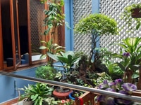 Nhà Mặt Tiền Kinh Doanh Nguyễn Khuyến,184m2,F Bình Thọ,Thủ Đức 26 tỷ Nhà Mặt Tiền Kinh Doanh Nguyễn Khuyến,184m2,F Bình Thọ,Thủ Đức 26 tỷ