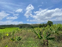 Cơ hội đầu tư sinh lời ngay tại KCN Sông Cầu , Nha Trang Cơ hội đầu tư sinh lời ngay tại KCN Sông Cầu , Nha Trang