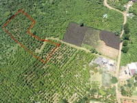72. Cần bán lô đất thôn 16 cách quốc lộ 55 200m 72. Cần bán lô đất thôn 16 cách quốc lộ 55 200m