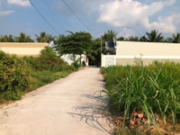 Bán đất xã Phú Nhuận, Tp. Bến Tre Bán đất xã Phú Nhuận, Tp. Bến Tre