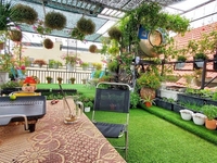 Bán Nhà Đẹp 3 Tầng Sân Vườn Rooftop Kiệt Ô Tô Lê Cơ Giá Rẻ Bán Nhà Đẹp 3 Tầng Sân Vườn Rooftop Kiệt Ô Tô Lê Cơ Giá Rẻ