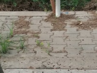 Bán lô đất 5x19m = 95m2 ,không qua trung gian,gần Aeon Bình Tân Bán lô đất 5x19m = 95m2 ,không qua trung gian,gần Aeon Bình Tân