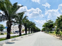 Bán đất Thổ Cư, Sổ riêng, quận Bình Chánh - TP Hồ Chí Minh giá 1.20 Tỷ Bán đất Thổ Cư, Sổ riêng, quận Bình Chánh - TP Hồ Chí Minh giá 1.20 Tỷ