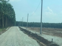Cần bán đất tại Lộc Ninh, Bình Phước, đất gần Quốc Lộ 13, pháp lý rõ r Cần bán đất tại Lộc Ninh, Bình Phước, đất gần Quốc Lộ 13, pháp lý rõ r