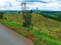 Bán 5x20m mt đường nguyễn văn cừ,SHR, cách ql l20 3km,160tr Bán 5x20m mt đường nguyễn văn cừ,SHR, cách ql l20 3km,160tr