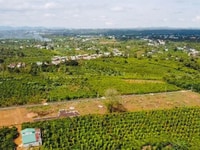 Đất nghỉ dưỡng view đại ngàn, ngay tp bảo lộc Đất nghỉ dưỡng view đại ngàn, ngay tp bảo lộc
