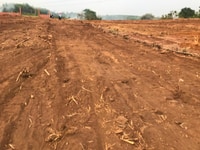 Đất vườn Trảng Bom 1000m2 sổ hồng riêng giá 900 triệu Đất vườn Trảng Bom 1000m2 sổ hồng riêng giá 900 triệu