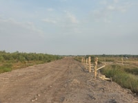 Đất vườn xây nhà ngay DT 20m x54m= 1078m2 Kênh Trung Ương vĩnh lộc b Đất vườn xây nhà ngay DT 20m x54m= 1078m2 Kênh Trung Ương vĩnh lộc b