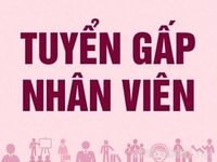 Siêu thị mới khai trương cần tuyển nhân viên Siêu thị mới khai trương cần tuyển nhân viên