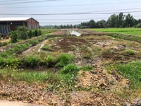 Chính chủ - bán 3 công đất vườn, mặt tiền đường ô tô tải, 2,15 tỷ Chính chủ - bán 3 công đất vườn, mặt tiền đường ô tô tải, 2,15 tỷ