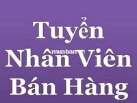 CHÚ Ý: Siêu thị MiNi cần tuyển gấp nhân viên bán hàng nhận việc ngay CHÚ Ý: Siêu thị MiNi cần tuyển gấp nhân viên bán hàng nhận việc ngay