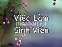 Tổng hợp bách hóa cần 04 nam nữ bán hàng đóng gói trực tiếp tại quầy Tổng hợp bách hóa cần 04 nam nữ bán hàng đóng gói trực tiếp tại quầy