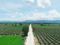 Tôi chính chủ cần bán gấp lô đất của gia đình để lại Tôi chính chủ cần bán gấp lô đất của gia đình để lại
