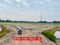 🧧🧧 Chủ dân gốc cần bán gấp 1000m2 đường xe hơi. 7km đến Q2 🧧🧧 Chủ dân gốc cần bán gấp 1000m2 đường xe hơi. 7km đến Q2