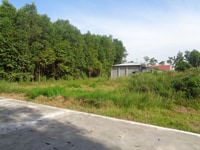 1600m2 đất đẹp vuông 40X40 chỉ với giá 1,5tr/m2 tại Phước Bình, SHR 1600m2 đất đẹp vuông 40X40 chỉ với giá 1,5tr/m2 tại Phước Bình, SHR