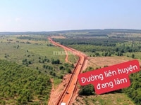 Cần bán gấp lô đất vườn diện tích hơn 1HA tại Bình Thuận Cần bán gấp lô đất vườn diện tích hơn 1HA tại Bình Thuận