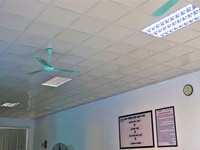 Tìm nhà đầu tư trong lĩnh vực sản xuất đồ uống trà và cà phê Tìm nhà đầu tư trong lĩnh vực sản xuất đồ uống trà và cà phê