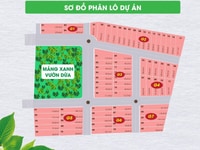Đất nền tân hương cơ hội đầu tư sinh lời cho các nhà bất động sản Đất nền tân hương cơ hội đầu tư sinh lời cho các nhà bất động sản