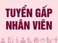 Tuyển gấp nhân viên lễ tân đi làm ngay Tuyển gấp nhân viên lễ tân đi làm ngay