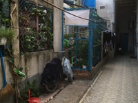 Phòng trọ 18m2 giá rẻ gần Coopmart Đặng Thúc Vịnh Phòng trọ 18m2 giá rẻ gần Coopmart Đặng Thúc Vịnh