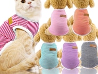 Áo Thun Classis Thú Cưng vải co giãn cực mát giá sale chỉ 40k Áo Thun Classis Thú Cưng vải co giãn cực mát giá sale chỉ 40k