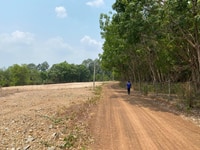 Cần bán 1000m2 đất vườn giá rẻ Cần bán 1000m2 đất vườn giá rẻ