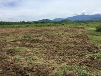 Bán đất xã Sông Cầu Khánh Vĩnh ngang 90m2 Bán đất xã Sông Cầu Khánh Vĩnh ngang 90m2