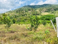 Bán lô đất vườn Khánh Vĩnh cho khách đầu tư Bán lô đất vườn Khánh Vĩnh cho khách đầu tư