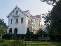 Xuất cảnh, chính chủ cần bán SIÊU BIỆT THỰ ĐẤT VÀNG