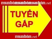 Tuyển Tạp vụ làm việc văn phòng Quận 7 Tuyển Tạp vụ làm việc văn phòng Quận 7